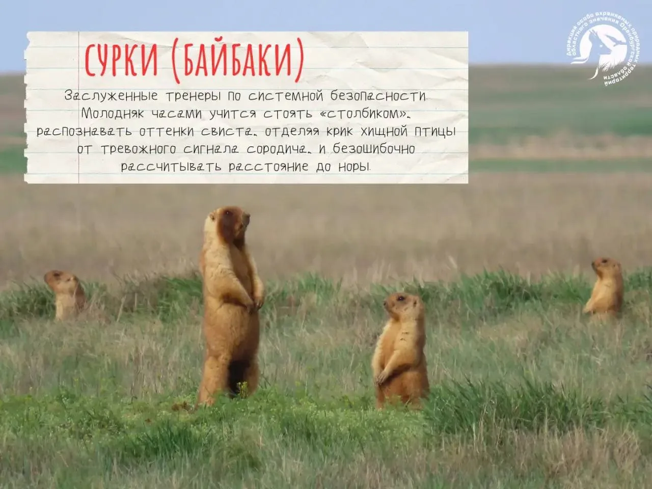 У природы в Оренбургской области есть свои учителя
