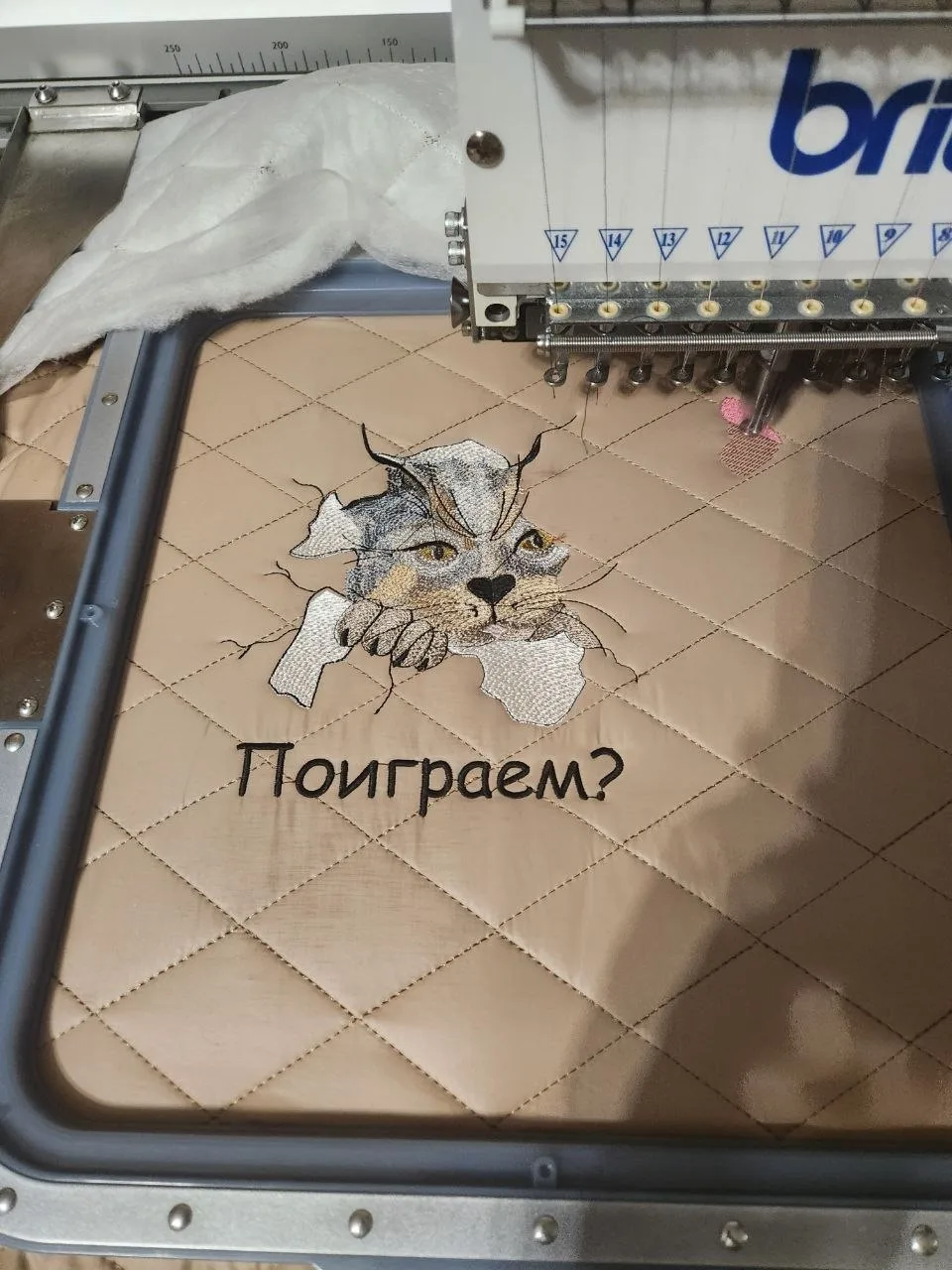От идеи до ИП: как оренбурженка сшила бизнес на одежде для животных 🐾
 
Сталкиваешься с проблемой -