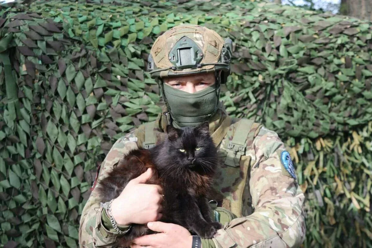 Доброе утро, Великая страна! 🤍
