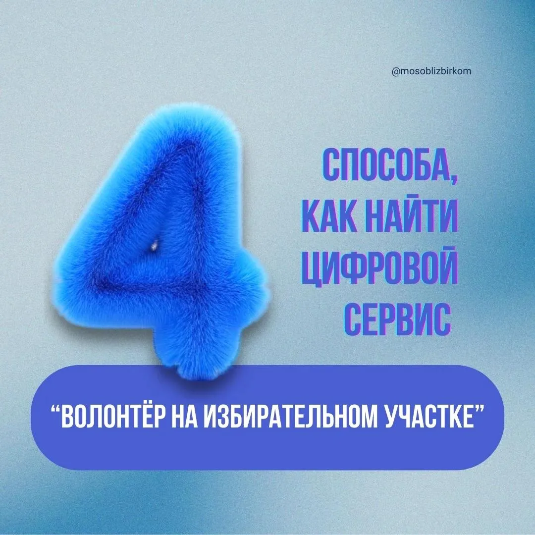 В Подмосковье начал работу сервис «Волонтёр на избирательном участке»