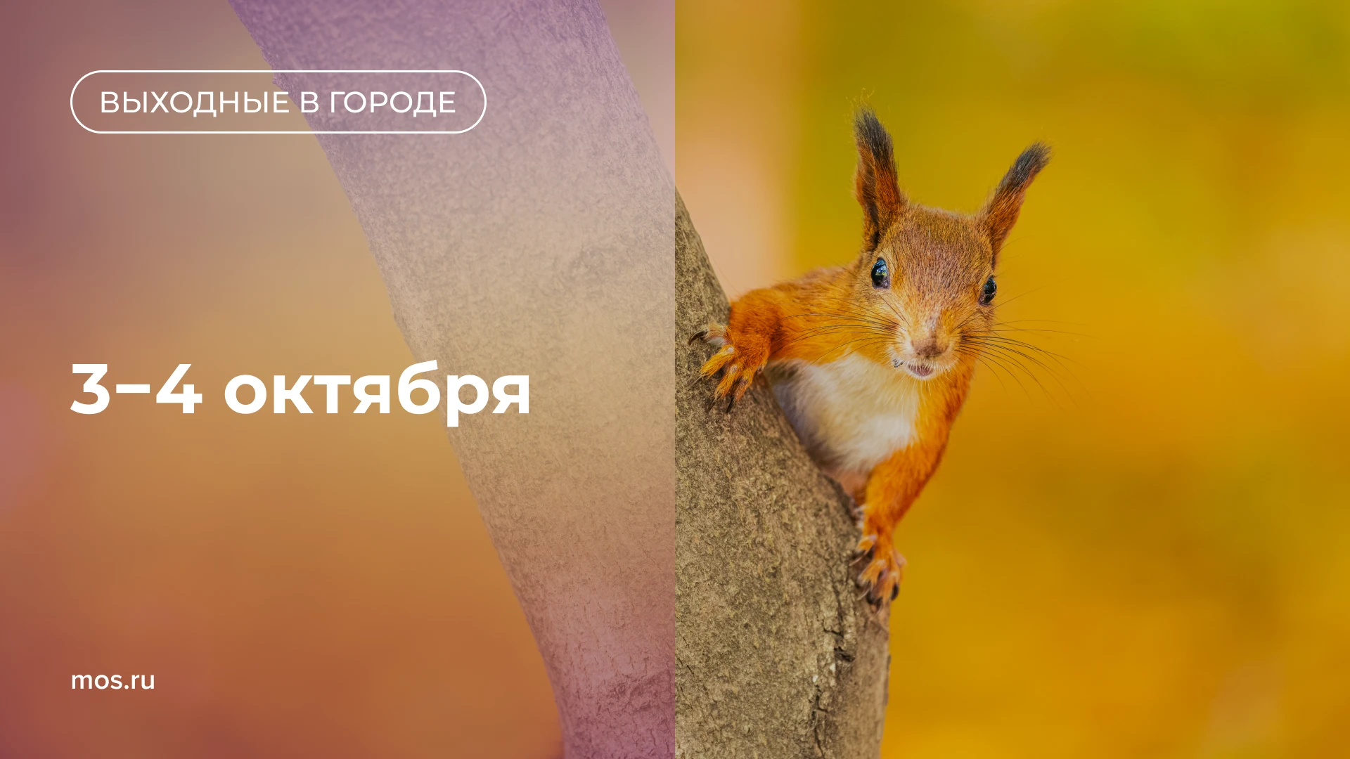 🥳 Вот и пятница! Собрали интересные мероприятия в эти выходные.