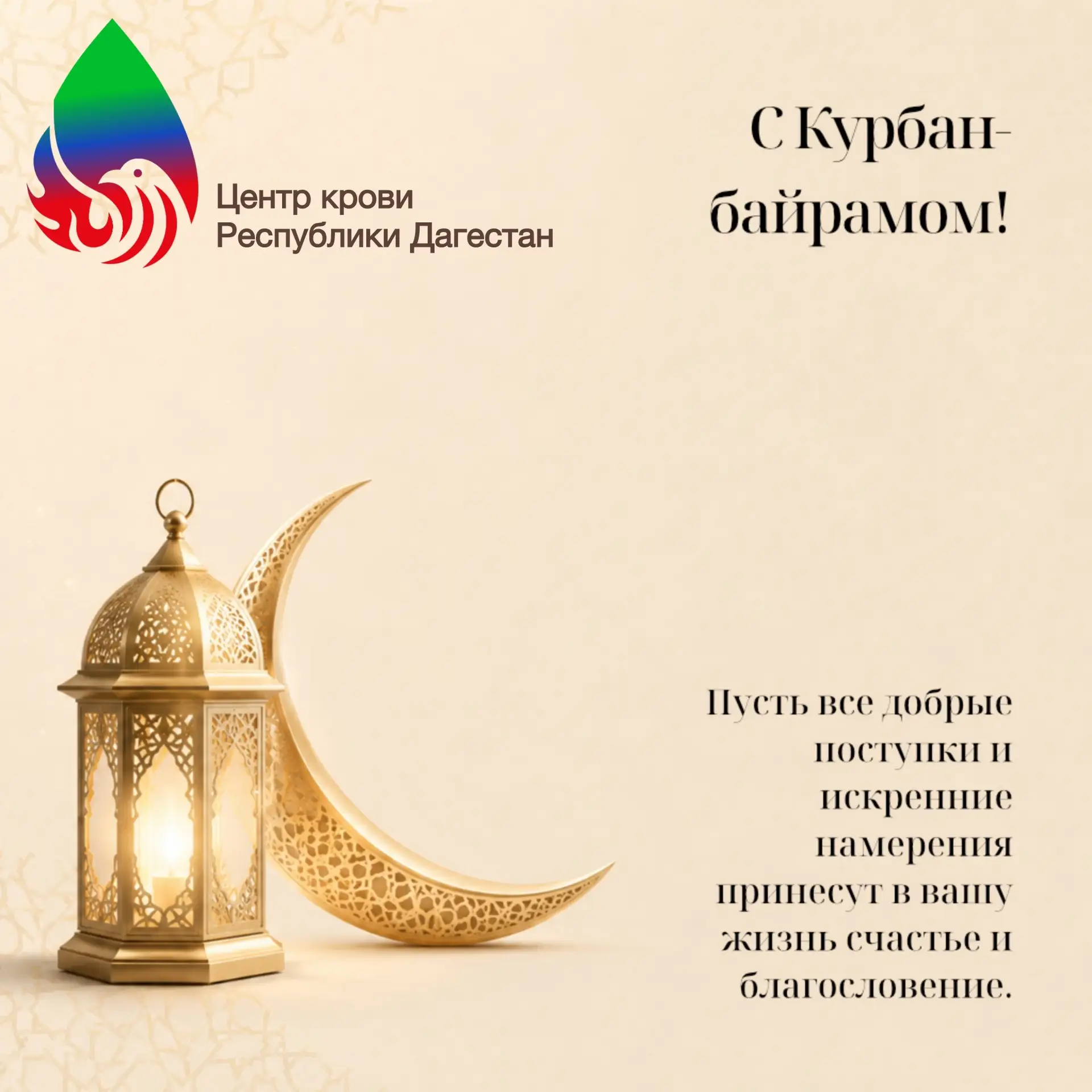 Дорогие доноры!