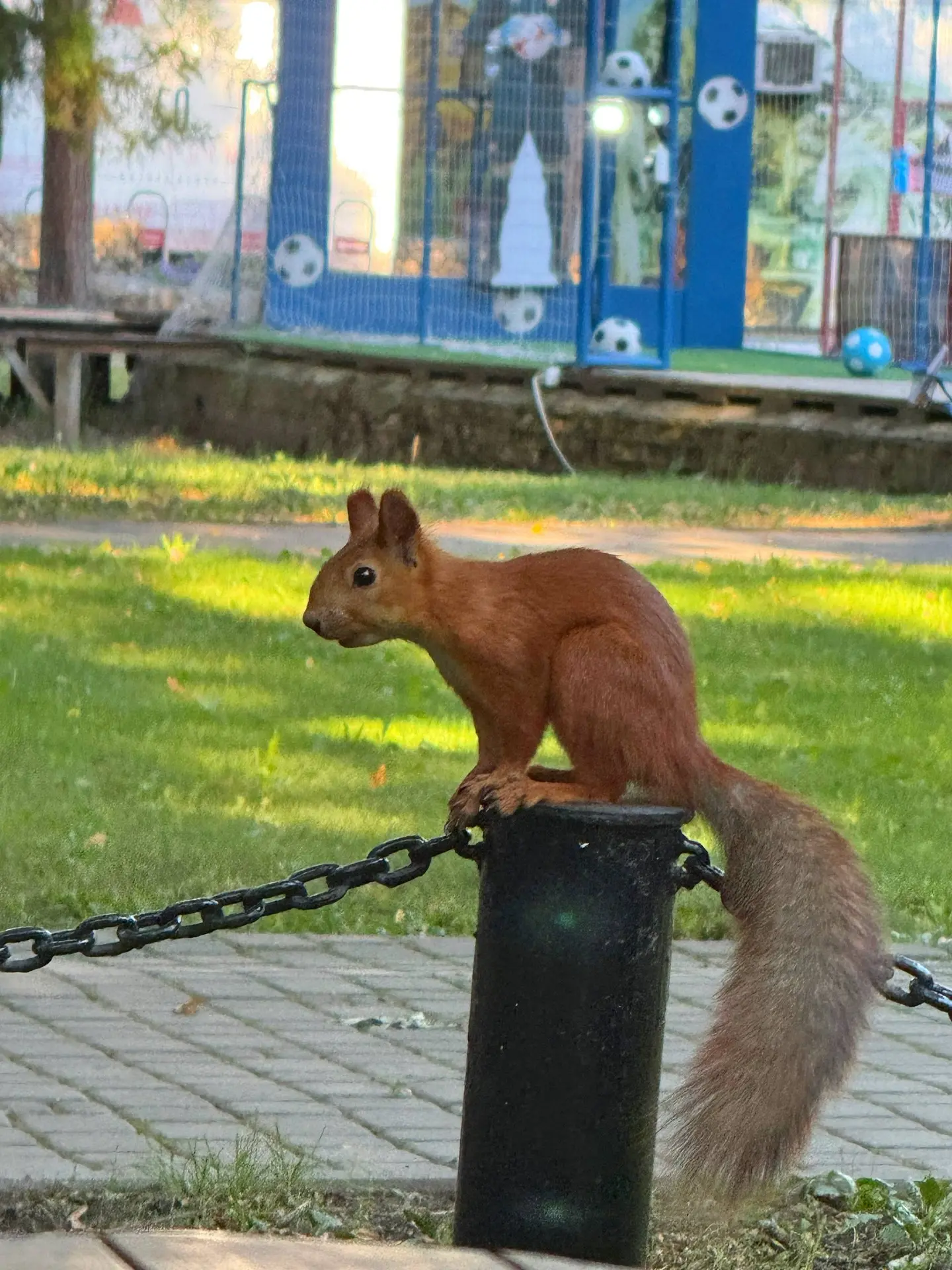 А кто тут у нас такой фотогеничный?🐿️📸