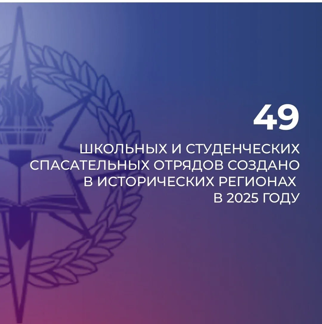 Число школьных и студенческих спасательных отрядов в исторических регионах за год увели...