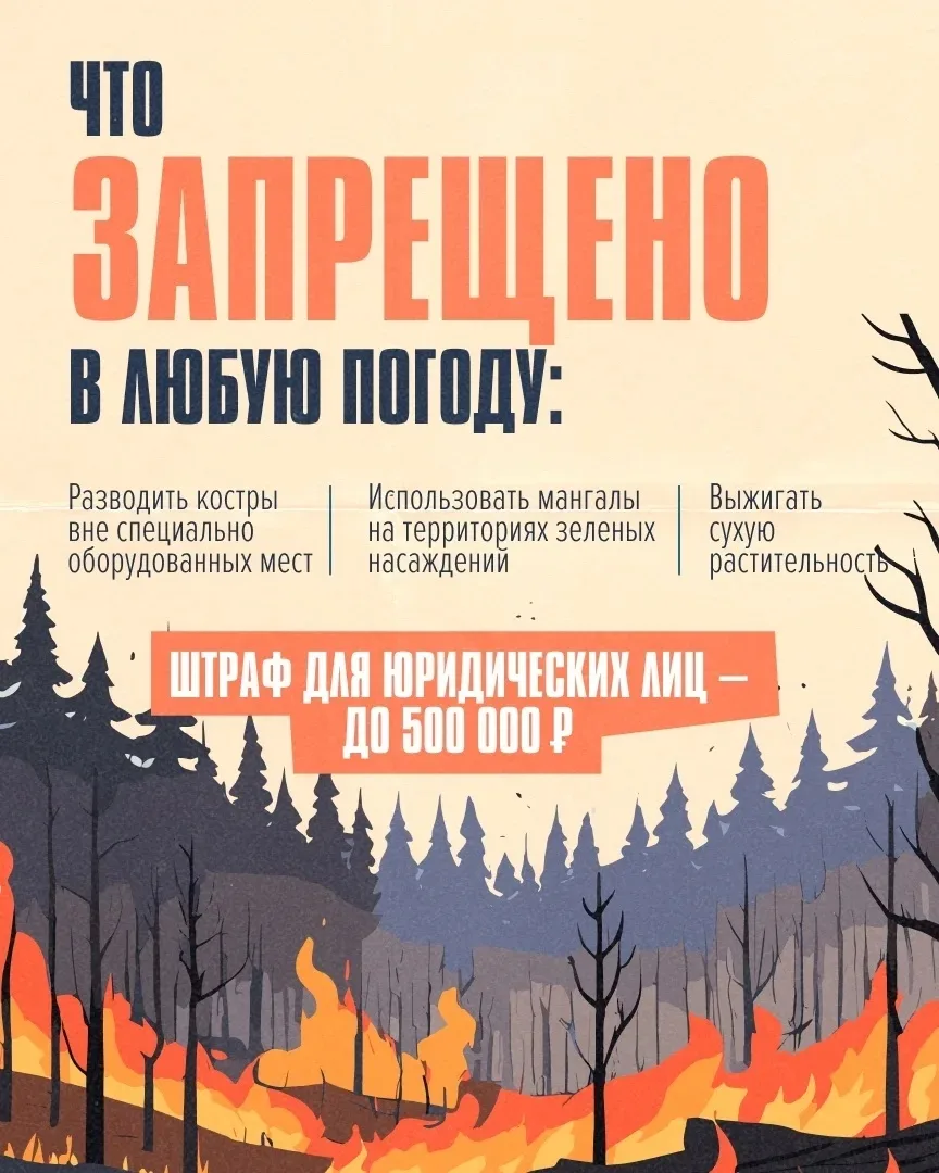 Теплая погода в Петербурге сменилась ветром и дождями, но пожароопасный сезон продолжается. Статисти