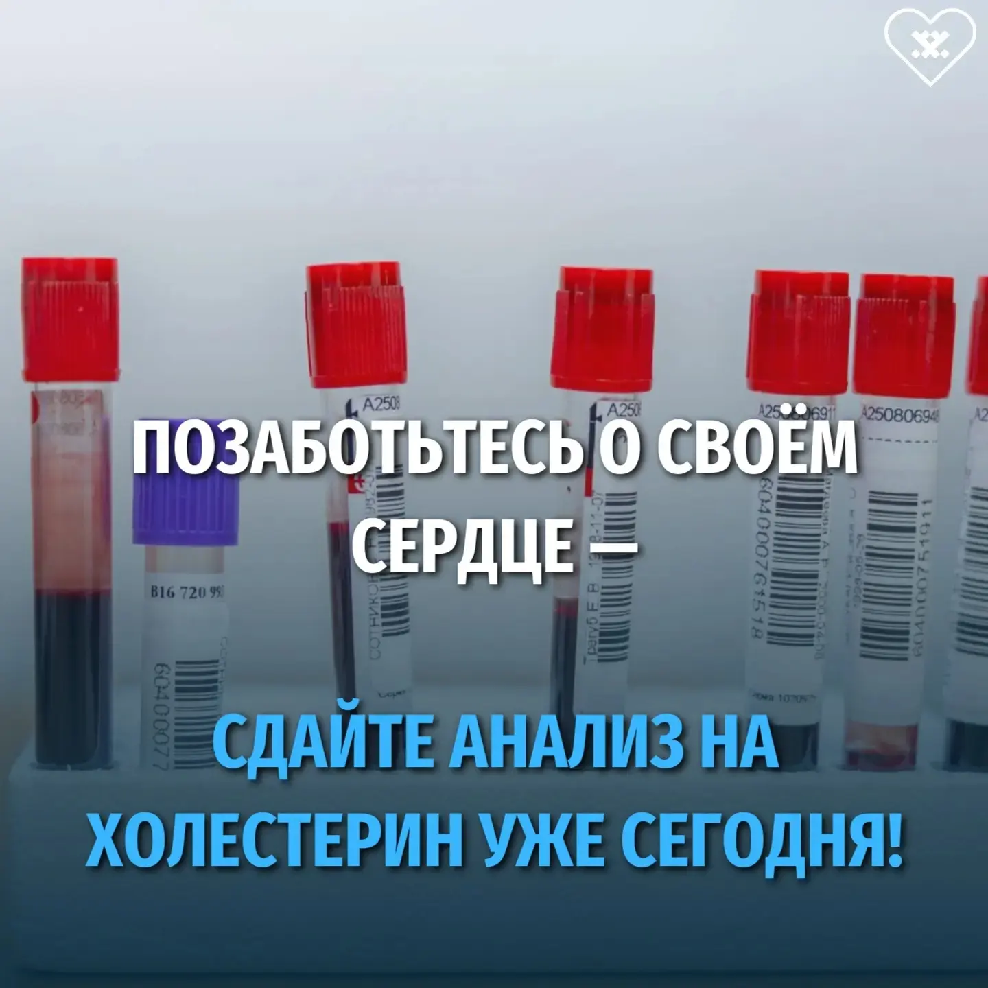 Дорогие ямальцы!  С начала года в восьми городах округа действует проект по ранней диагностике серде