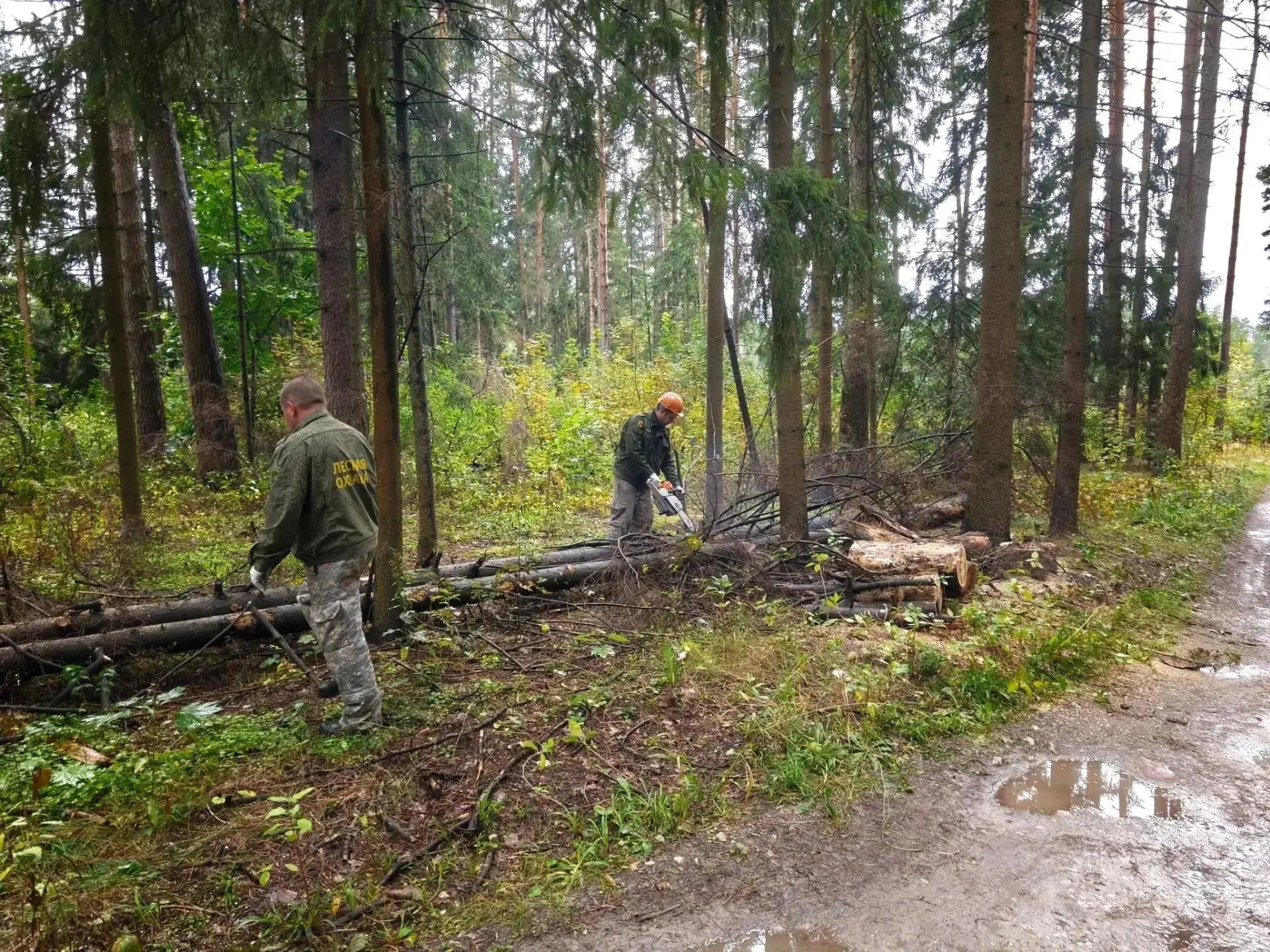 ♻️Лесничие вышли на субботник. Очистку лесной территории проводили работники Егорьевско...