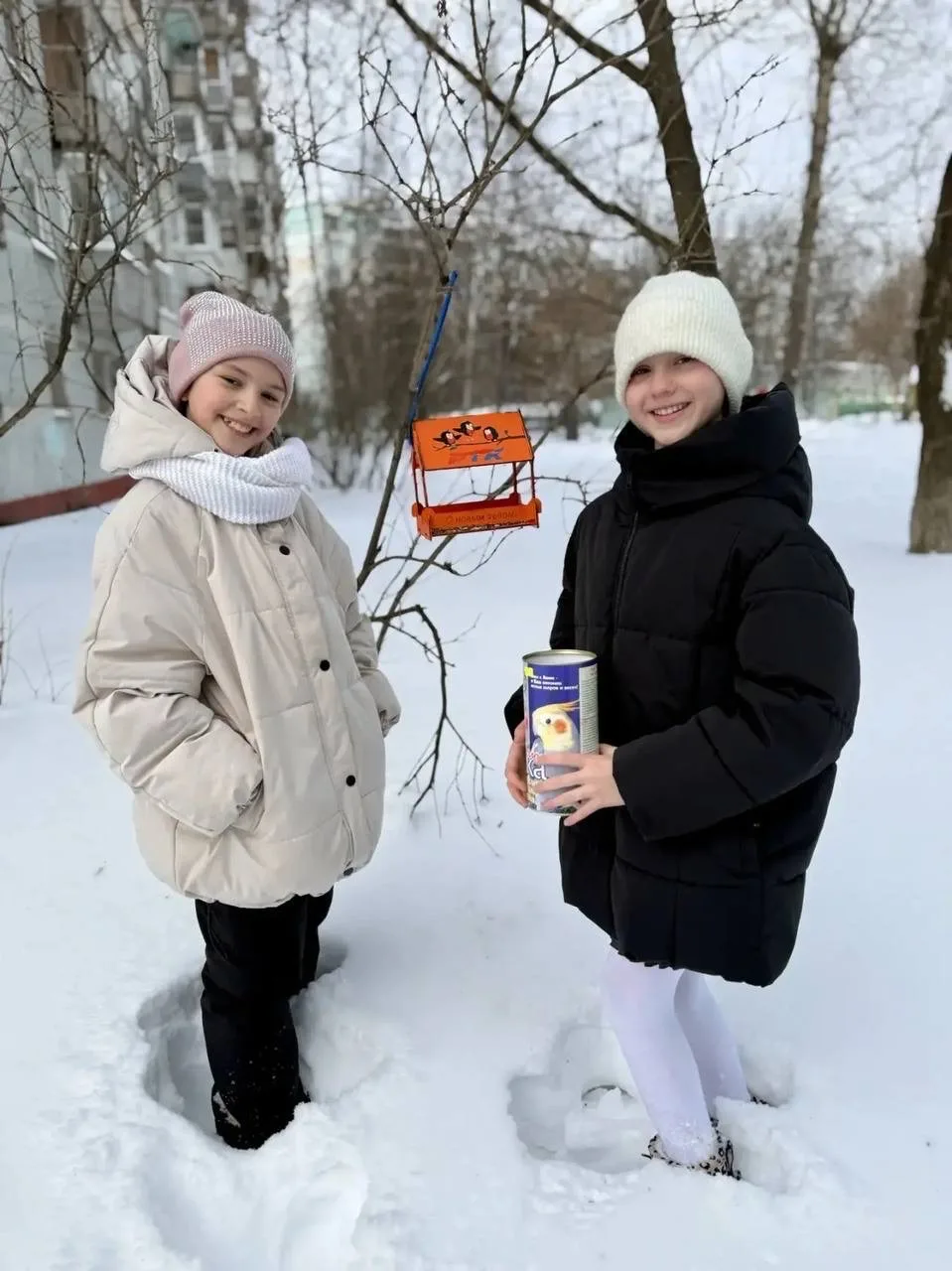 🐣Юные эколята школы принимают участие в региональной акции «Покорми птиц» 🐦В рамках Акции проходят м