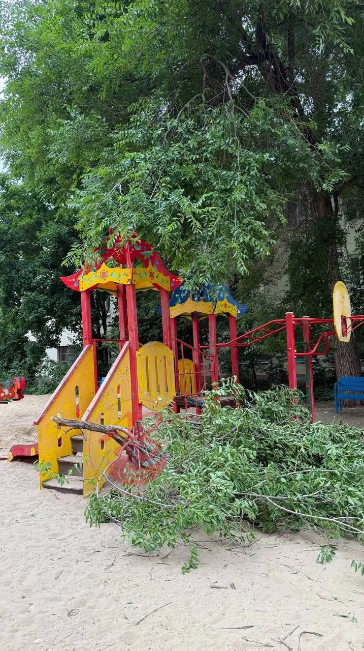 🌳 На проспекте Труда рядом с ребёнком упала большая ветка.

Опасная ситуация произошла на детской п