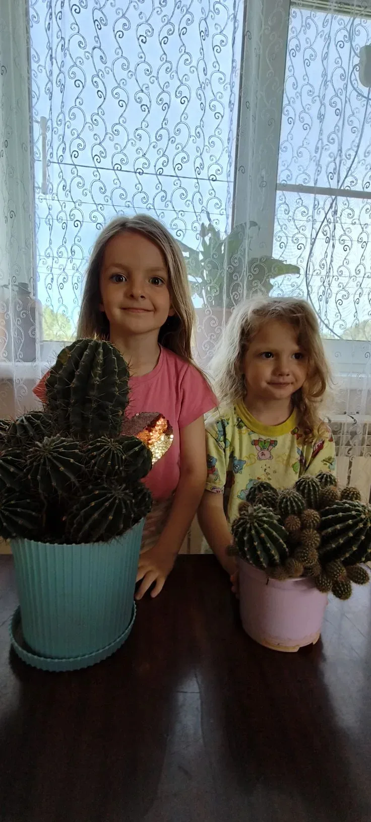 🌵 Всемирный день кактуса 🌵