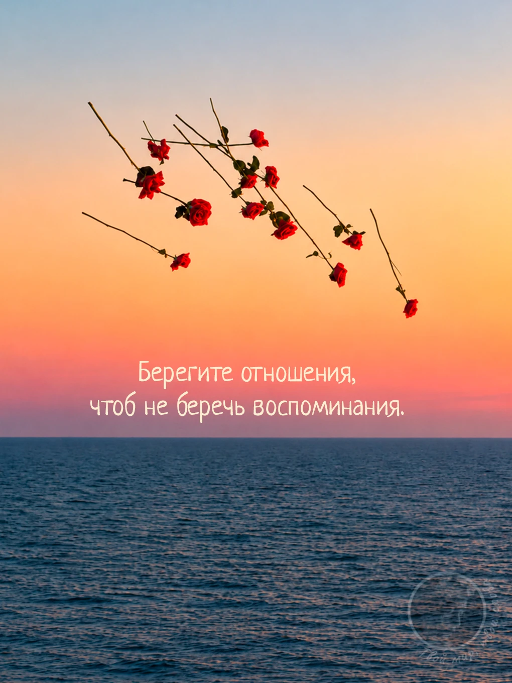 Твой мир, твои слова
