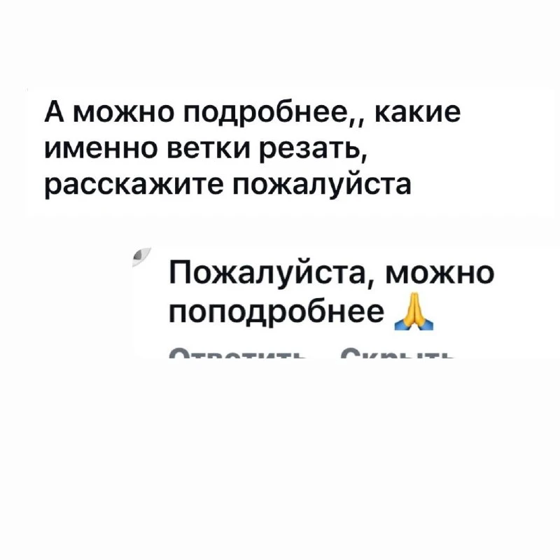 Завалили меня вопросами про обрезку смородину, давайте разбираться 👇