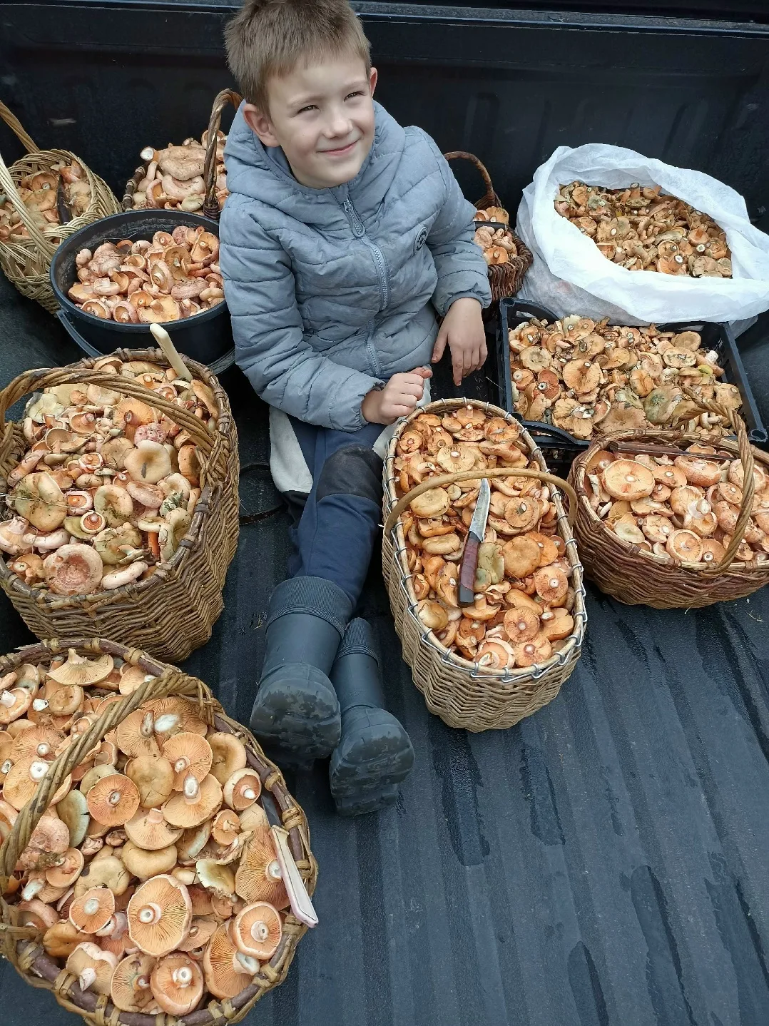 💪🍄 Пермяки продолжают тихую охоту на рыжики!