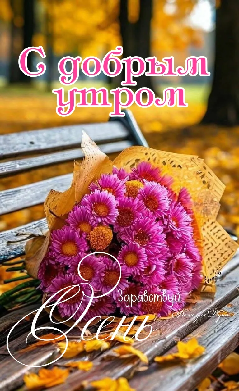 С  ДОБРЫМ  УТРОМ