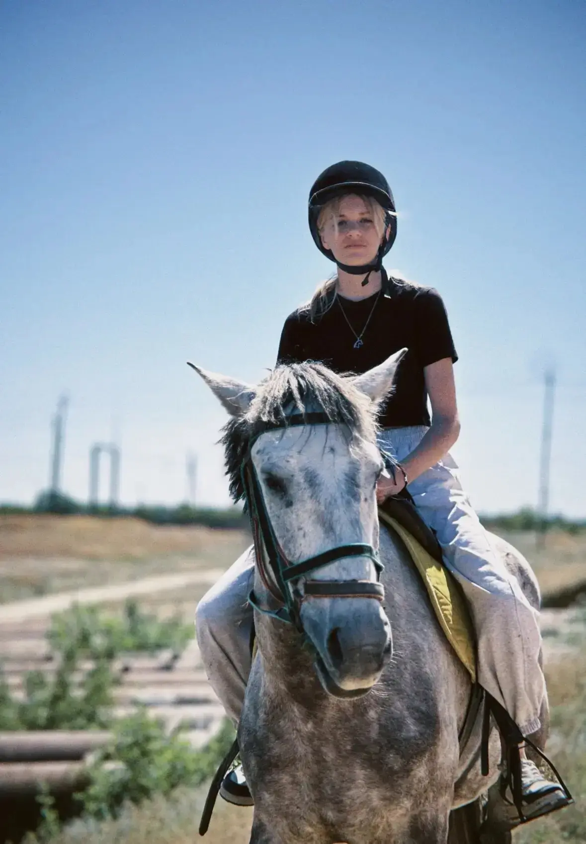 Занятия по конному спорту 🐎