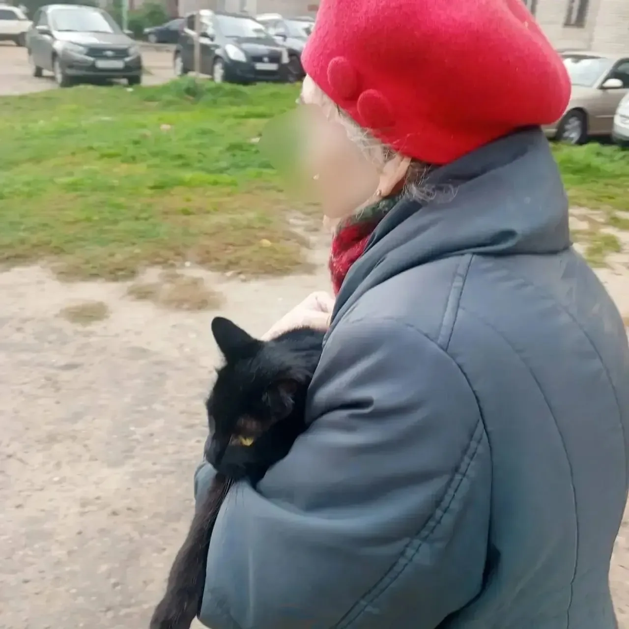 КОТИКУ С НЕПРОСТОЙ СУДЬБОЙ ОЧЕНЬ НУЖЕН ДОМ🙏🏡🐈‍⬛