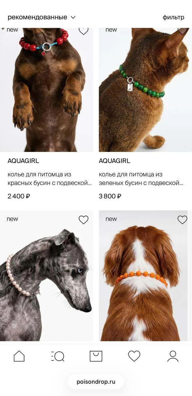 🐾 Poison Drop вместе с десятью брендами выпустил коллекцию украшений для людей и их питомцев. Тепер