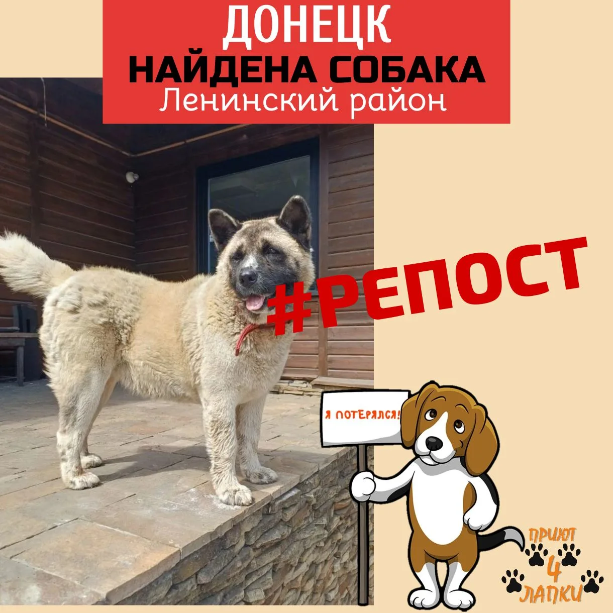 Около полугода назад эта красавица появилась возле ресторана «Деревня» в Ленинском райо...