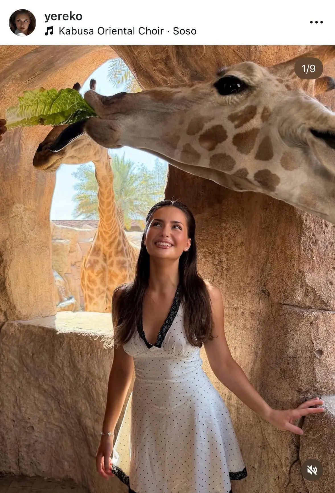 хотелка дня — провести завтрак в компании жирафов в отеле Emirates Park Zoo в Абу-Даби

+1 to wishli
