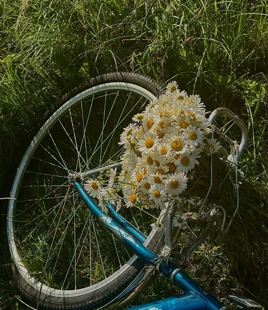 🌿 В "Птичьей гавани" сейчас лучшее время для велопрогулок.