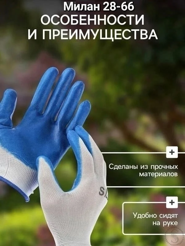 https://vk.com/photo-184814919_493528703