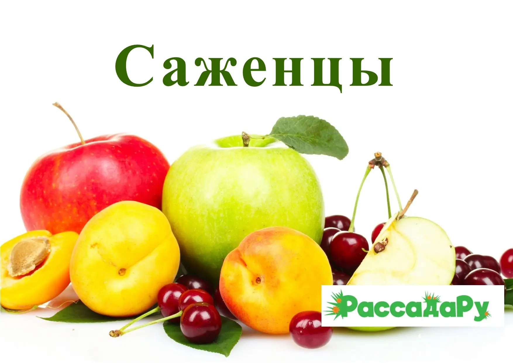 Альбом