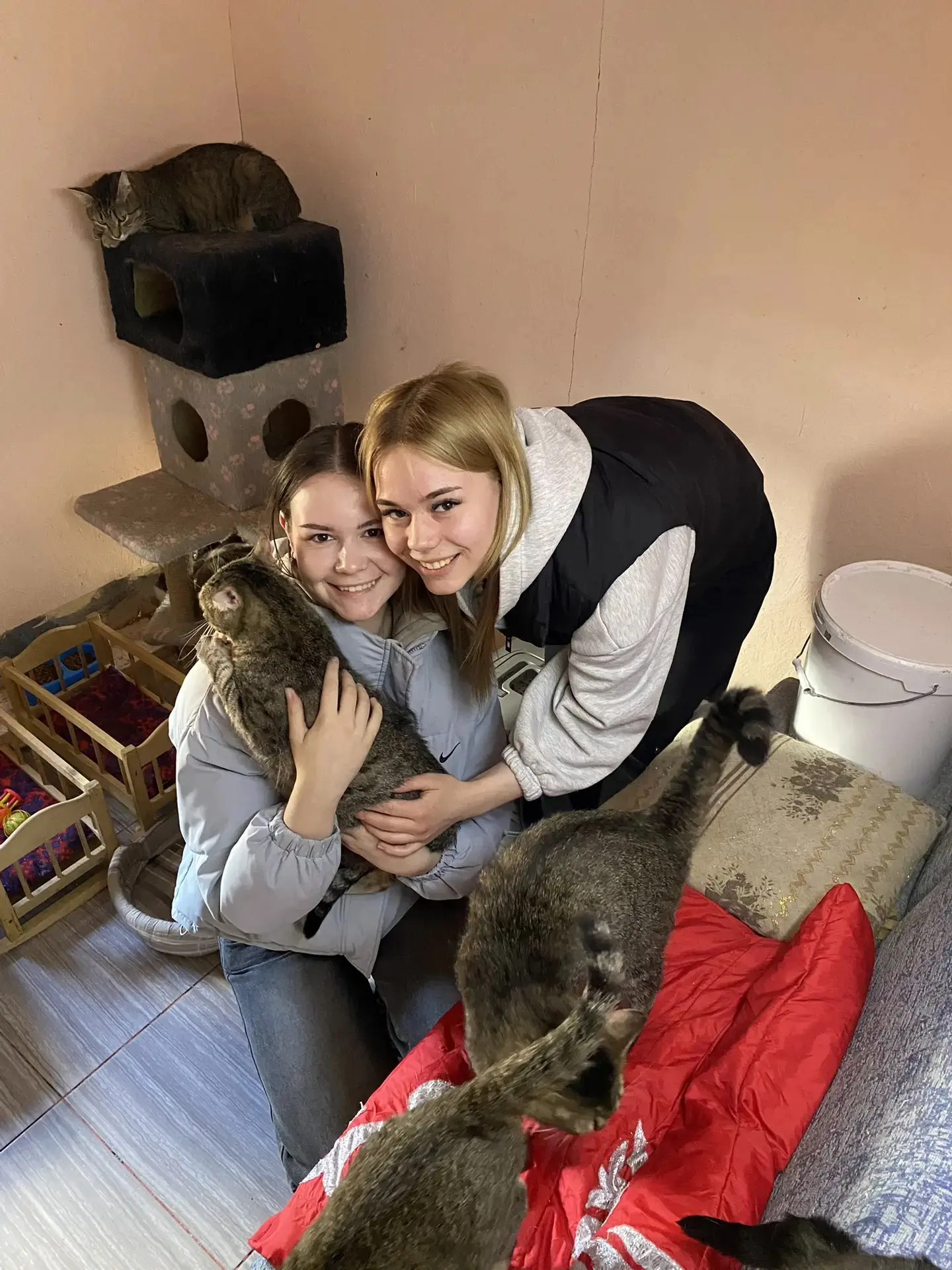 🐾 Добрые дела продолжаются! 🐾