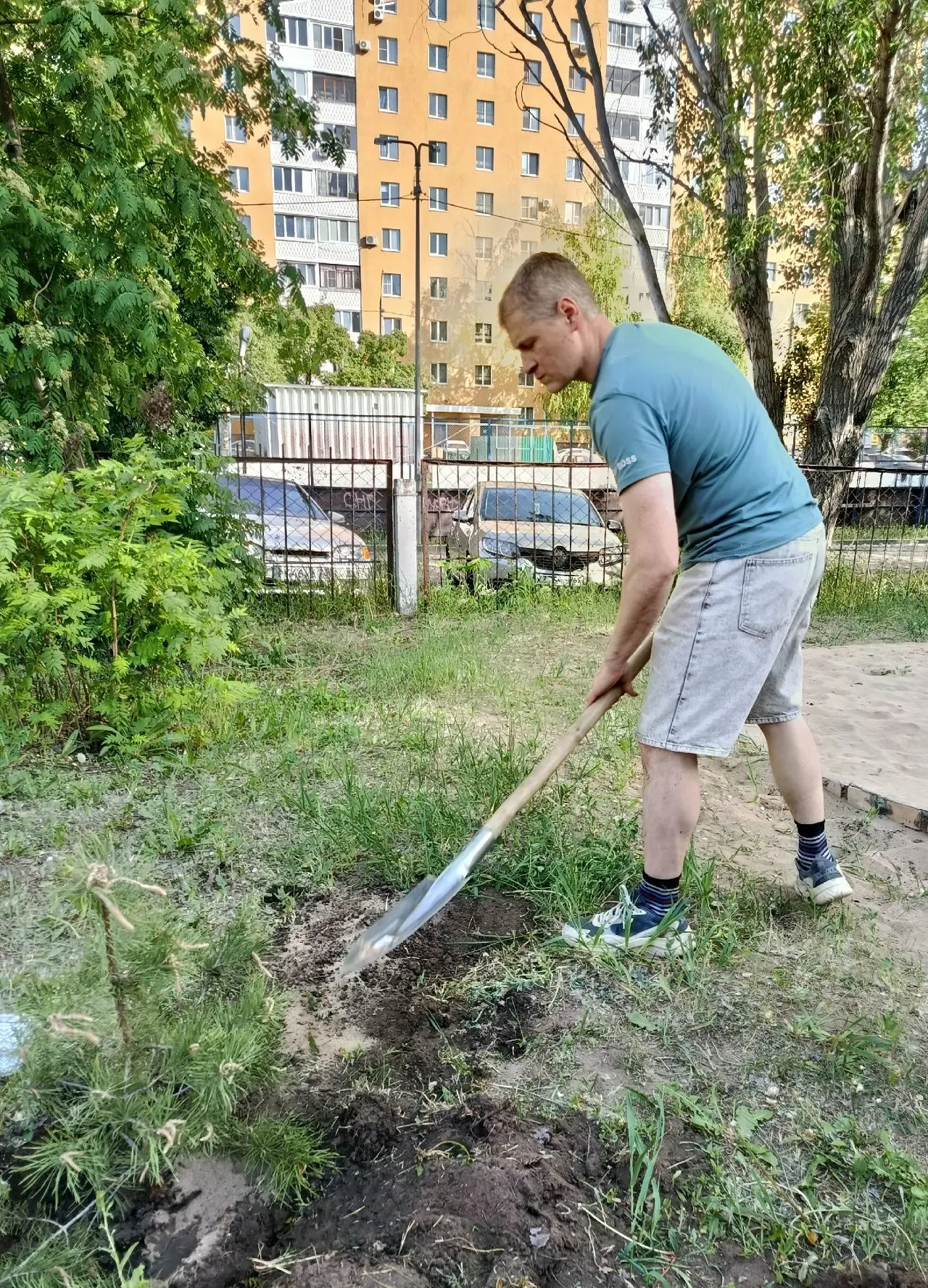 По доброй традиции ребята выпускной группы №6 вместе с родителями в память о нашей группе посадили н