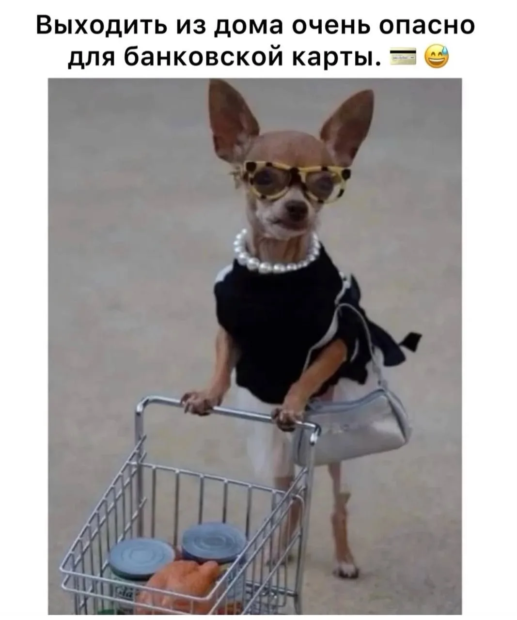 Улыбнись | Юмор
😁Подписаться