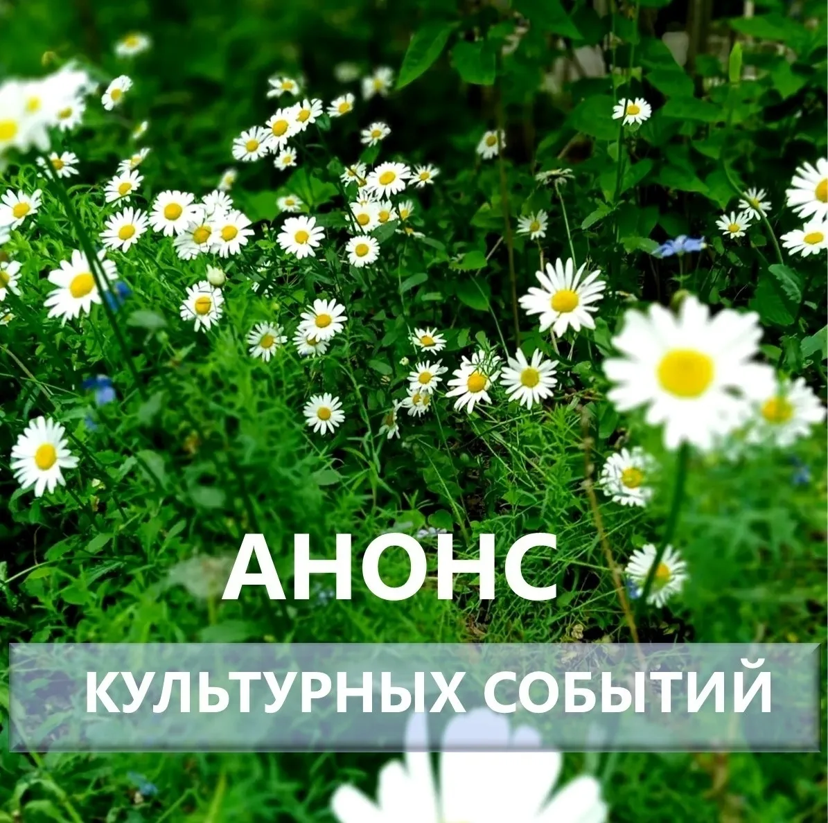📣 Что посетить в Самарской области на этой неделе? Топ-5 событий: