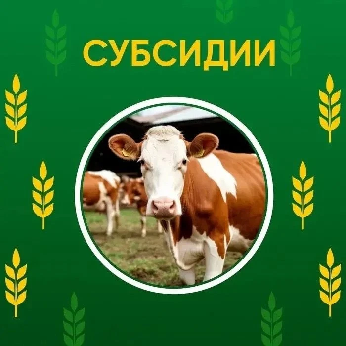 📃В Парабельском районе начался приём заявок на получение субсидии на содержание коров.🐄

✅️Шифр от
