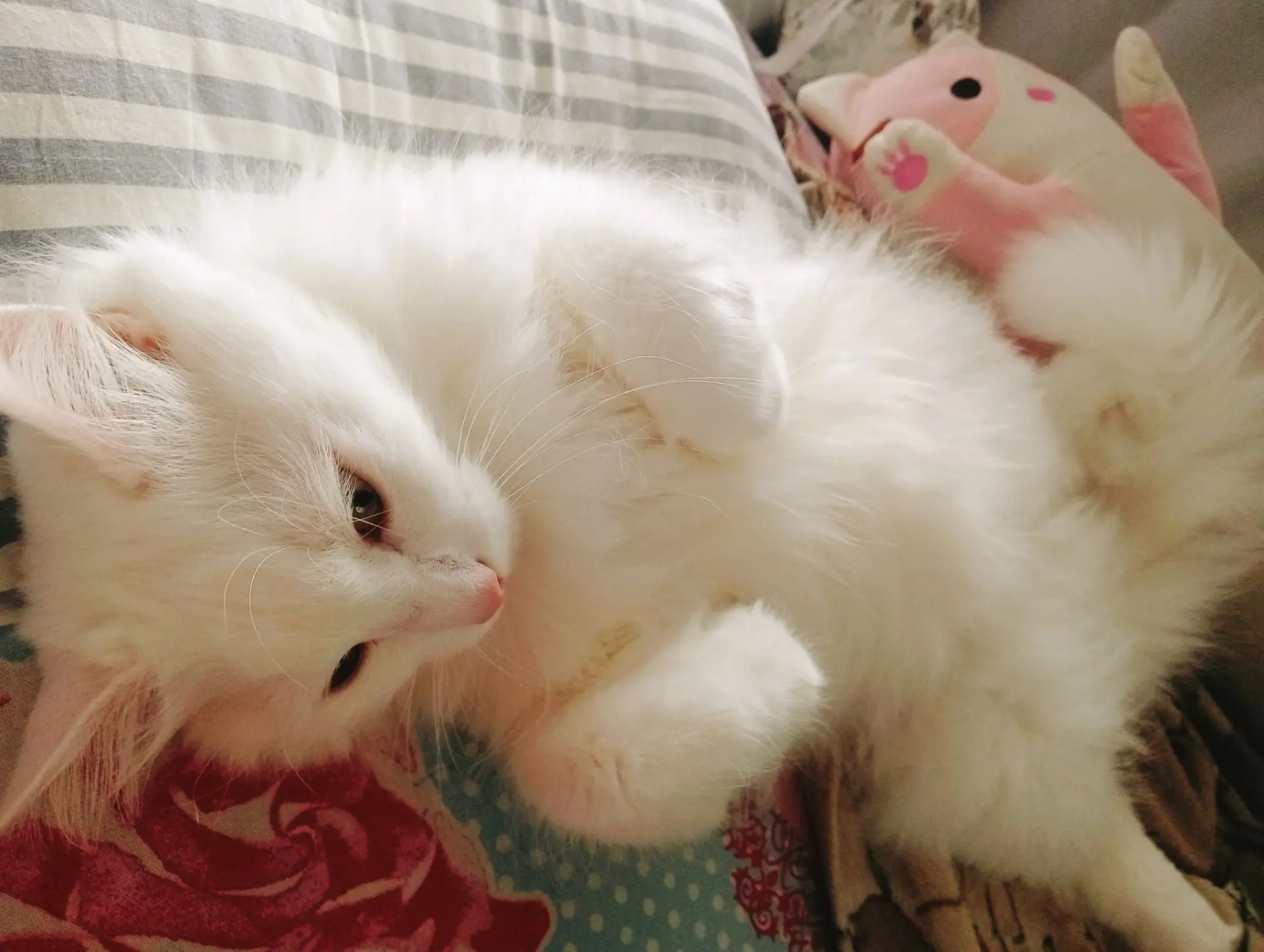 Желаю всем доброй ночи ♥️ спасибо, что вы есть в моей группе 🥰