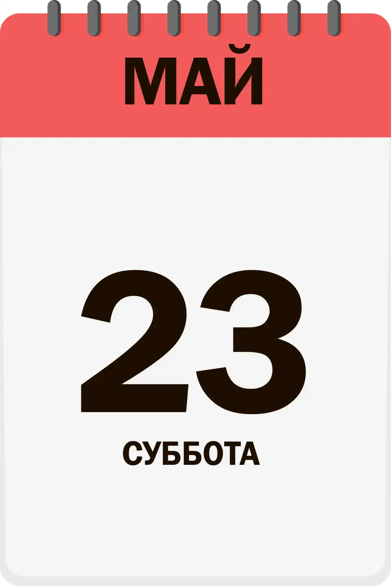 Доброе утро, друзья!  Сегодня отмечаем праздник:   📍День ирисок 📍 Всемирный день черепахи 📍День кашт