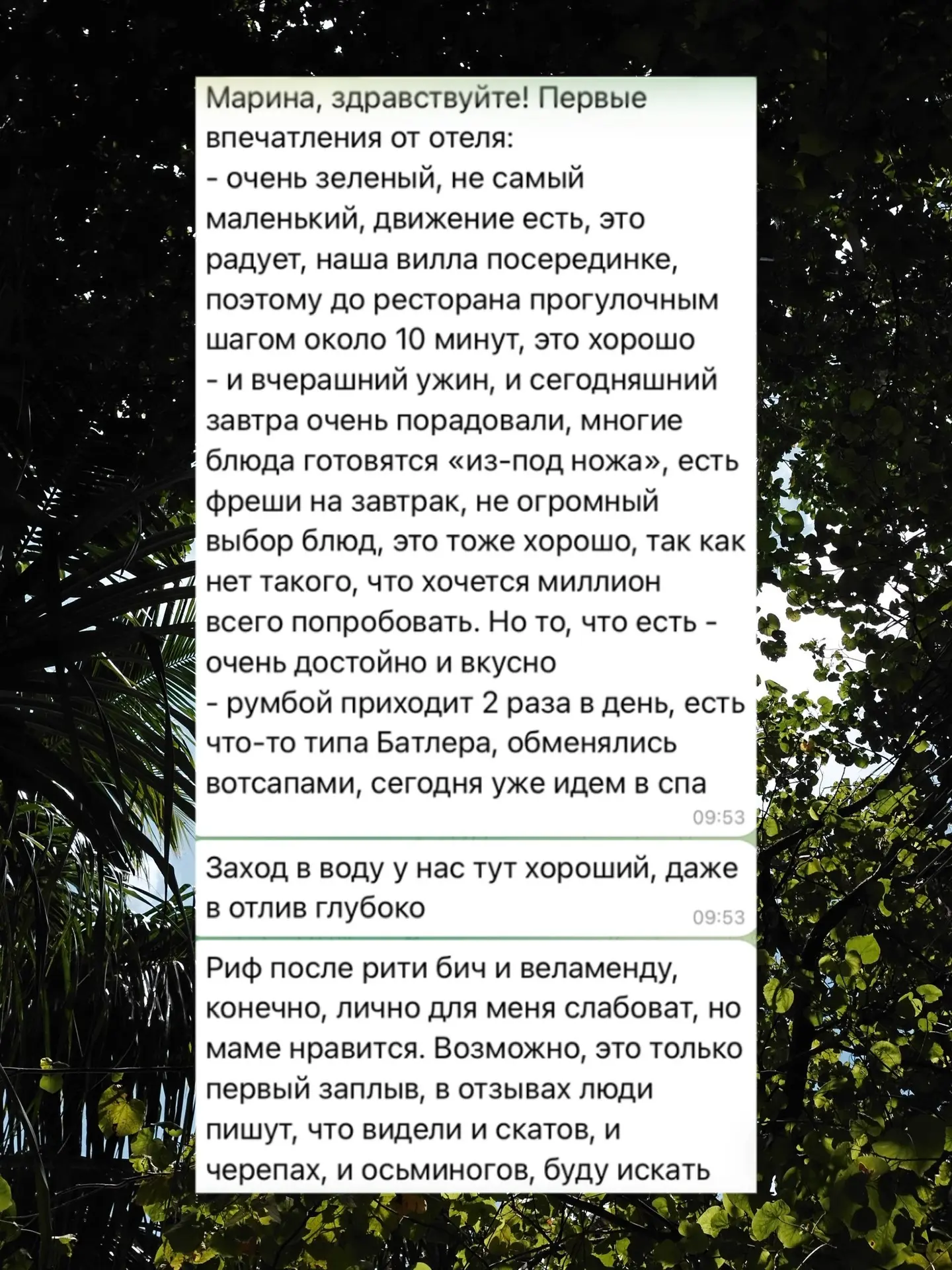 Пока вы выбираете между Мальдивами и Сейшелами, делюсь первыми впечатлениями клиентов от третьего по