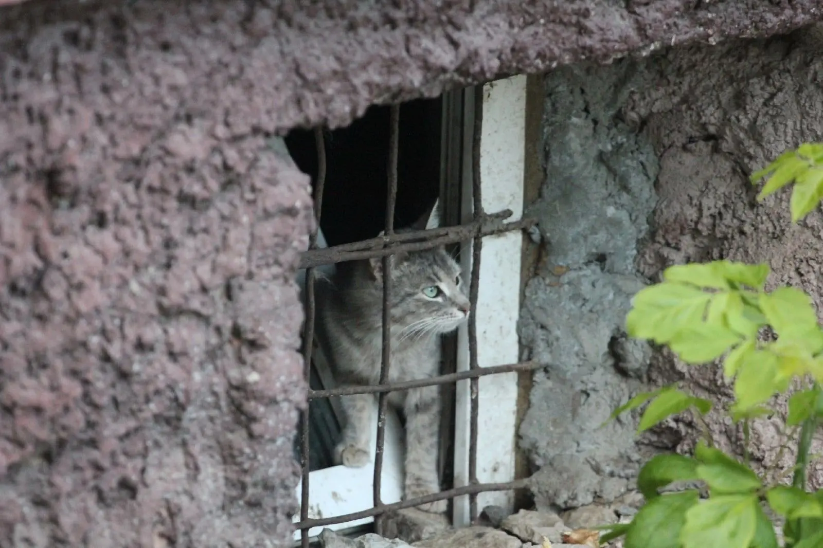 Природа будет щедра с Костромой на дожди
Они возможны в ежедневном режиме.
На синоптической карте - 