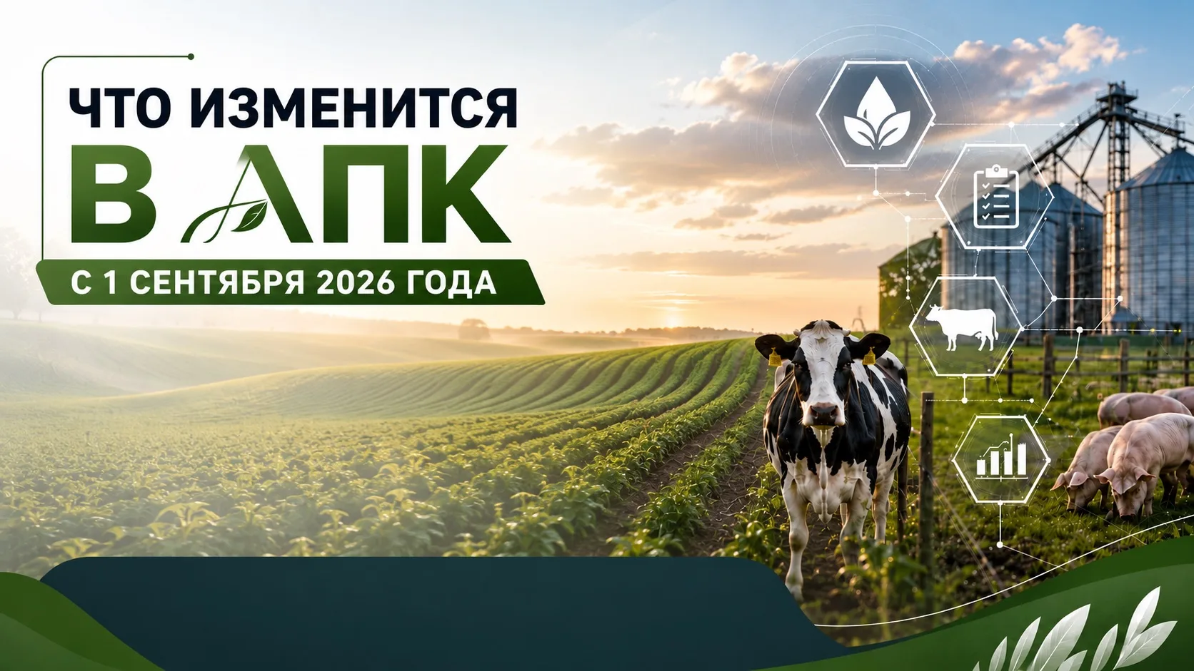 С начала осени в агросекторе вступает в силу сразу несколько важных изменений, они затр...