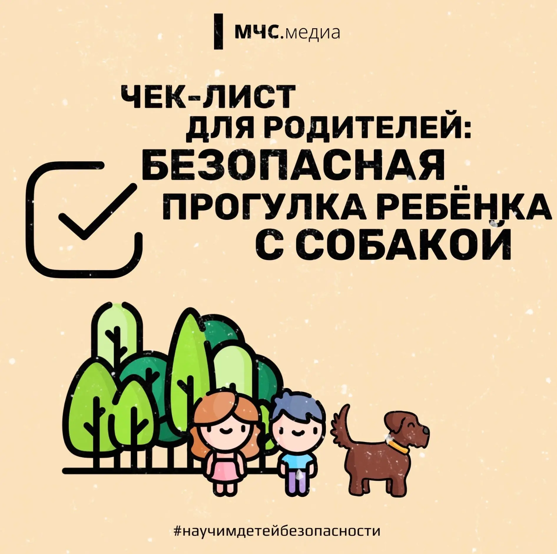 Прогулка с собакой: основные правила🐶.