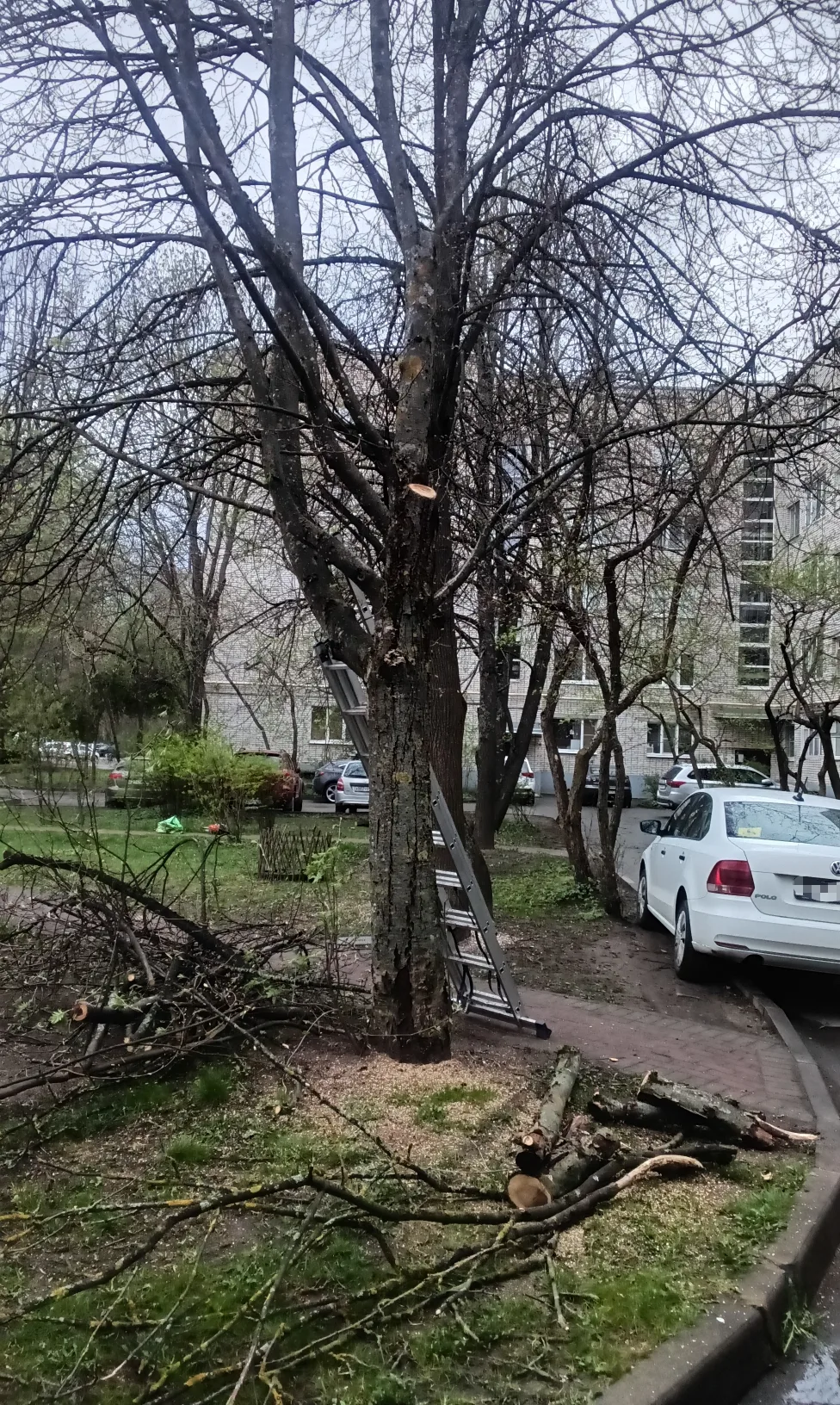 Ул. Связи д. 8