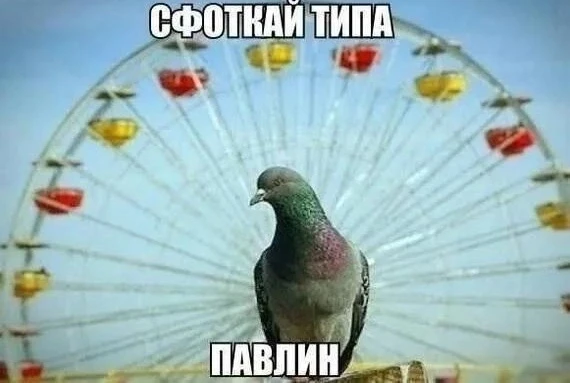Подпишись на юмор 😂