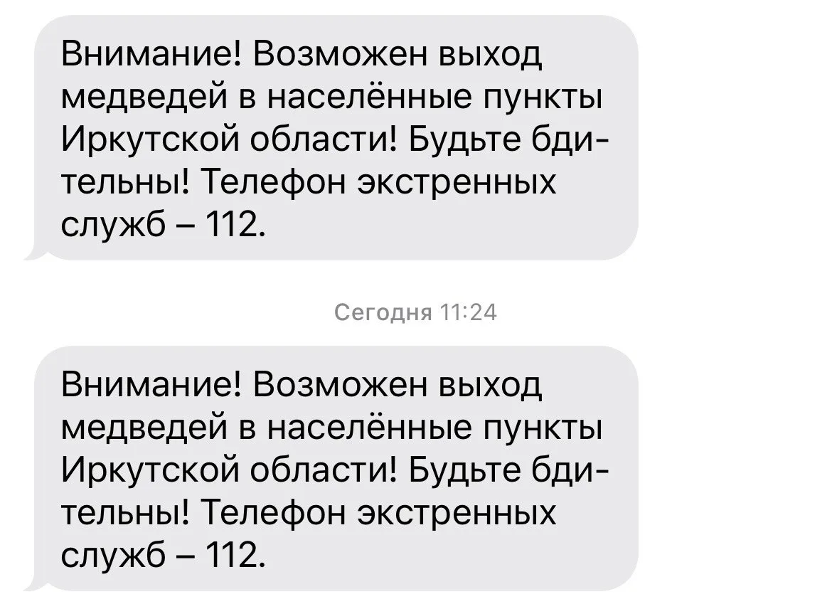 Девять медведей отстрелили за сутки в Иркутской области.