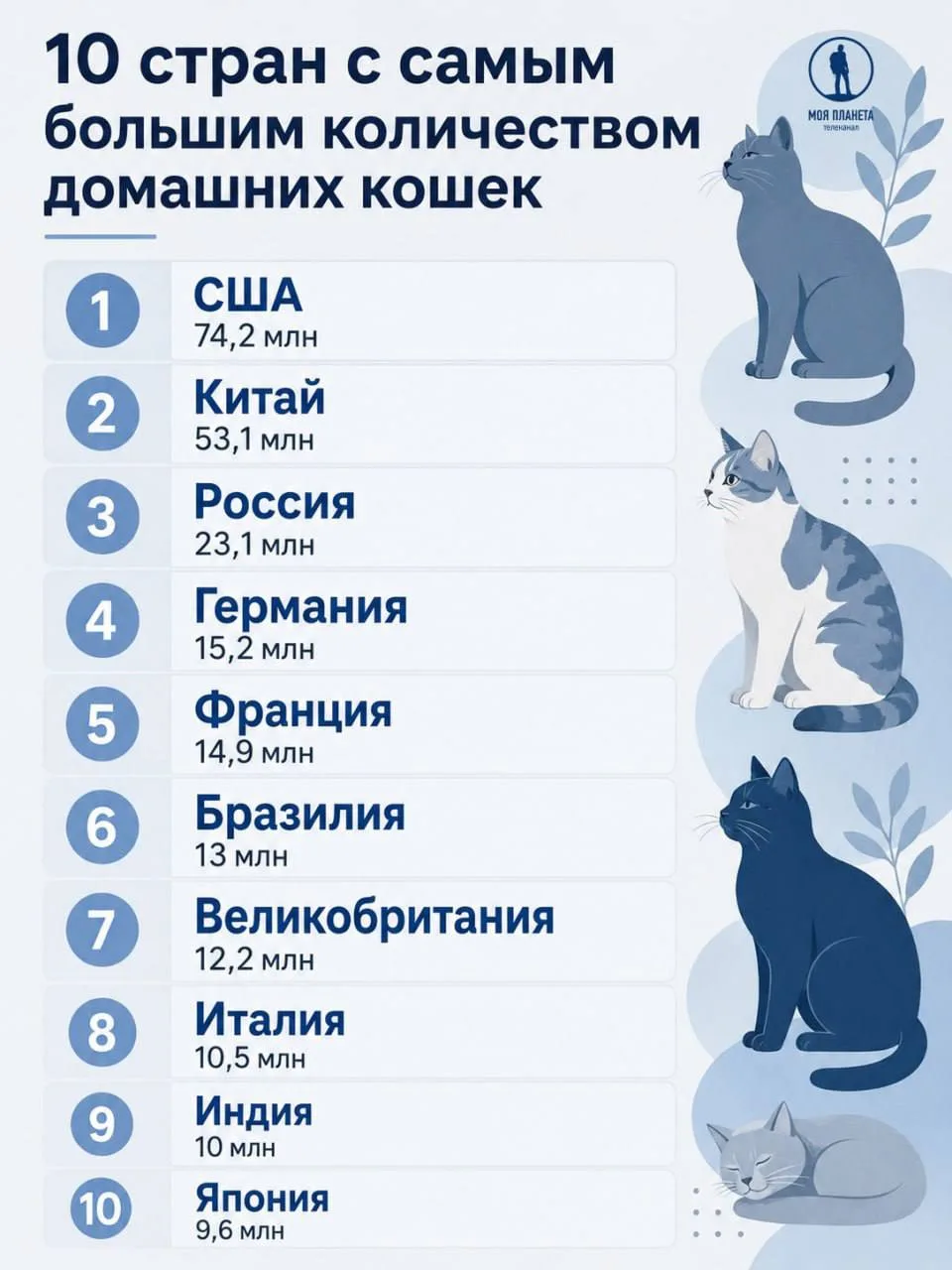 Где больше всего домашних кошек.

@FactTG