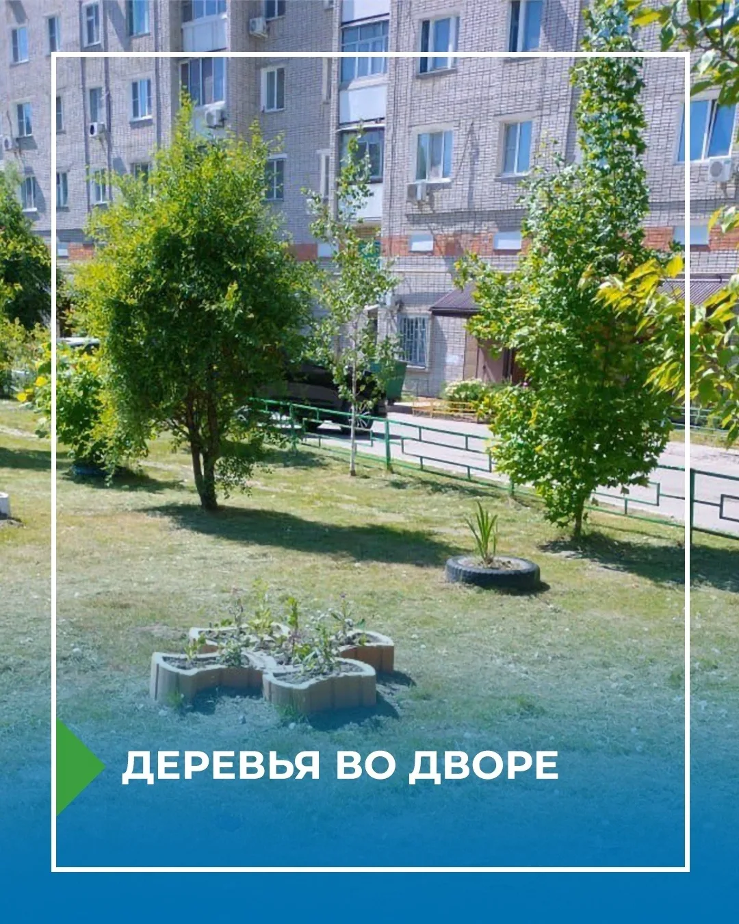 🏠🌳Кто отвечает за деревья во дворе — и можно ли спилить мешающее дерево?