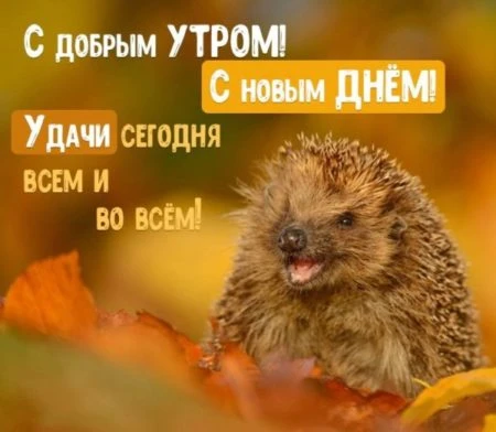 Всем привет! С 29 сентября! 🍁