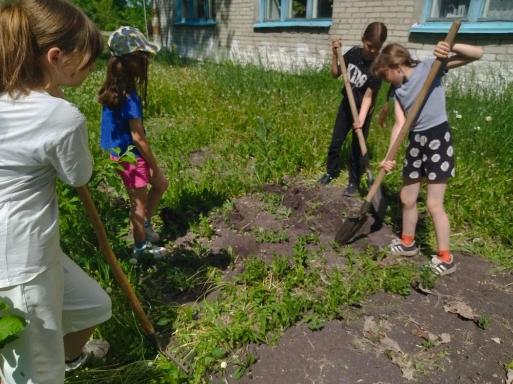 Ранней весной обучающиеся 4 класса проводили акцию "Огород на подоконнике".  Сегодня подрощенные цве