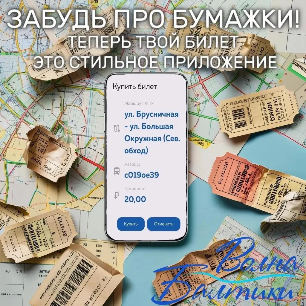 Справка теперь в телефоне! Новый сервис для школьников Калининграда 🚀