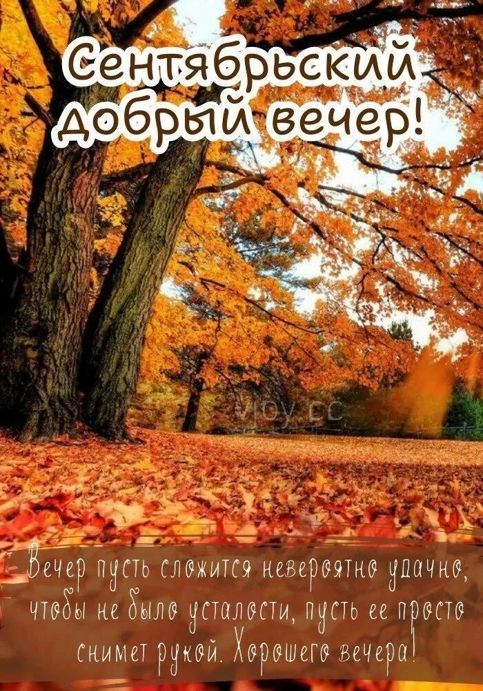 Добрый вечер!