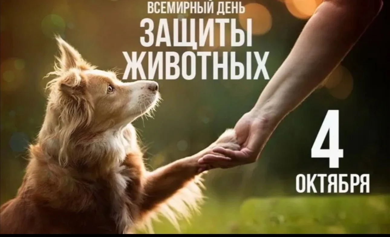 🐾 4 октября — Всемирный день защиты животных.🐾