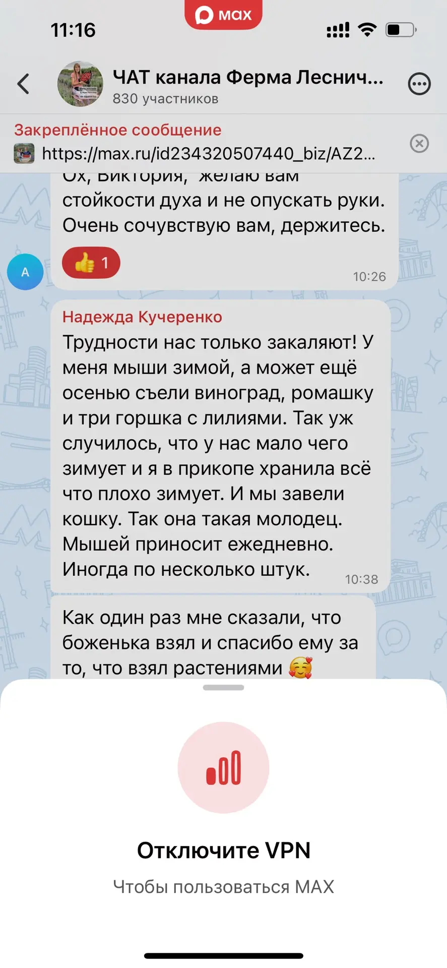 Изображение 1 к публикации «Ферма Лесниченко 🍓Клубника 💜Лаванда🌱Теплица»
