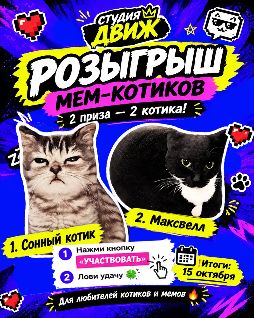 РОЗЫГРЫШ! ДВА МЕМ-КОТИКА ИЩУТ ХОЗЯЕВ 🐾