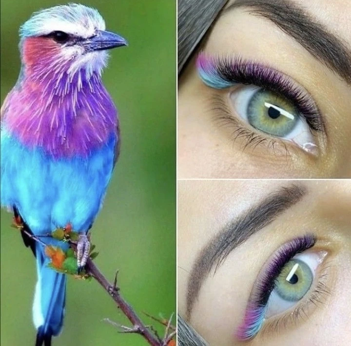 Красочное наращивание 🤍💜🖤